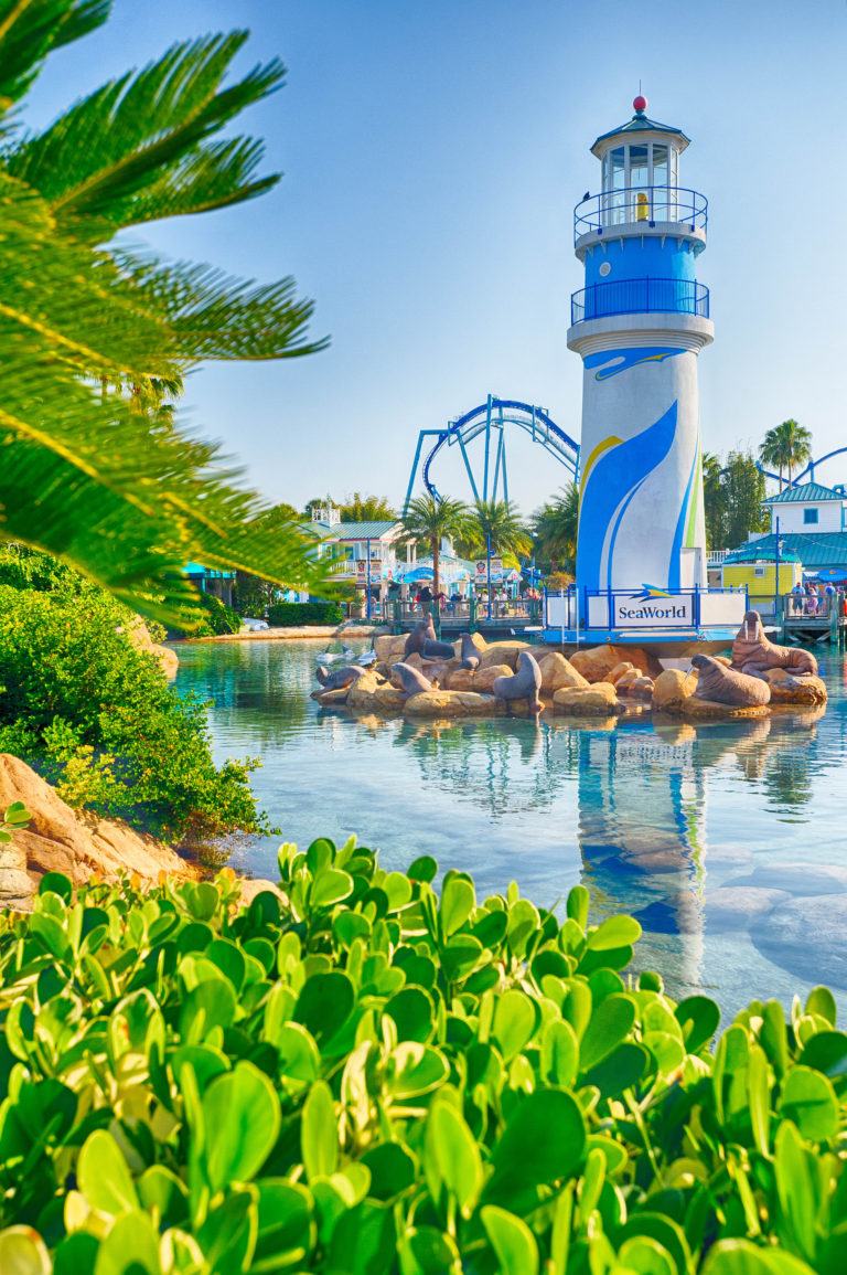 Black Friday 2019: ‘Blue Friday’ Deals and Discounts at SeaWorld ...